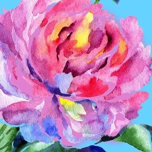 Meet your Posher, Alexa